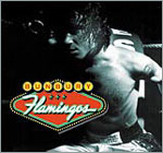 Foto de la tapa o portada del disco FLAMINGOS de ENRIQUE BUNBURY