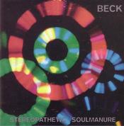 Tapa o Portada del disco STEREOPATHETIC SOULMANURE de BECK