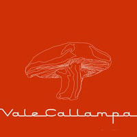 Tapa o Portada del disco VALE CALLAMPA de CAFE TACUBA